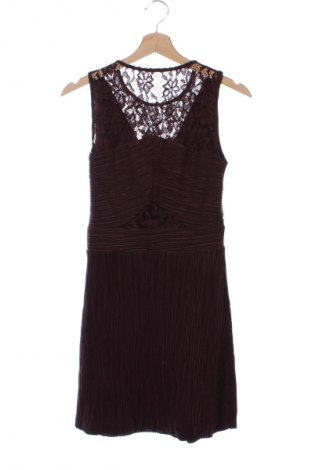 Kleid AllSaints, Größe M, Farbe Braun, Preis € 67,99