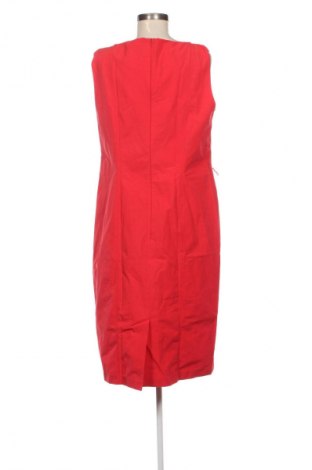 Sukienka Betty Barclay, Rozmiar XL, Kolor Czerwony, Cena 268,99 zł
