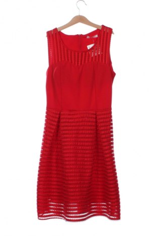 Kleid NEW COLLECTION, Größe XS, Farbe Rot, Preis 7,99 €