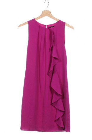 Kleid Oasis, Größe XS, Farbe Lila, Preis 23,02 €