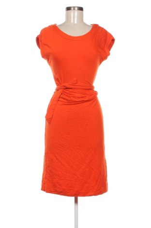 Kleid Promiss, Größe S, Farbe Orange, Preis 15,99 €