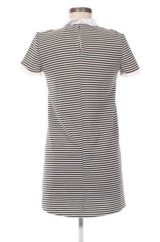 Φόρεμα Zara Trafaluc, Μέγεθος M, Χρώμα Πολύχρωμο, Τιμή 14,99 €