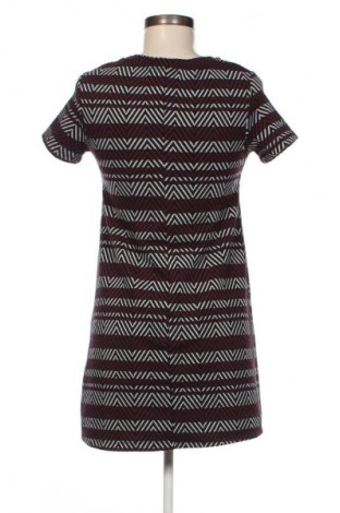 Kleid Zara Trafaluc, Größe S, Farbe Mehrfarbig, Preis 13,99 €