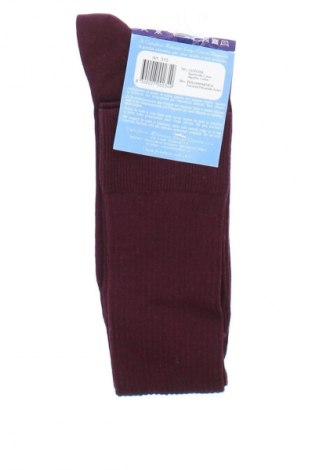Skarpety CIOCCA, Rozmiar XL, Kolor Czerwony, Cena 42,99 zł