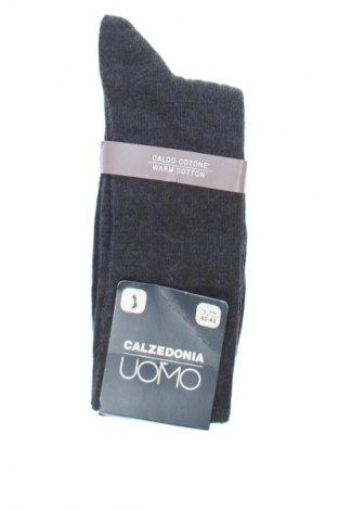 Strümpfe Calzedonia, Größe L, Farbe Grau, Preis € 10,99