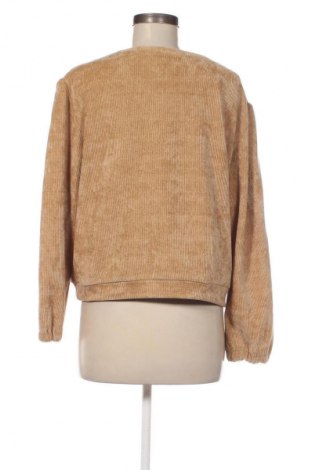 Γυναικεία μπλούζα Ambika, Μέγεθος XS, Χρώμα Πορτοκαλί, Τιμή 10,00 €