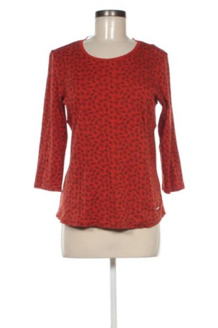 Γυναικεία μπλούζα Cappuccini, Μέγεθος M, Χρώμα Πολύχρωμο, Τιμή 10,00 €