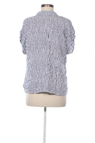 Γυναικεία μπλούζα Collection L, Μέγεθος L, Χρώμα Πολύχρωμο, Τιμή 7,99 €