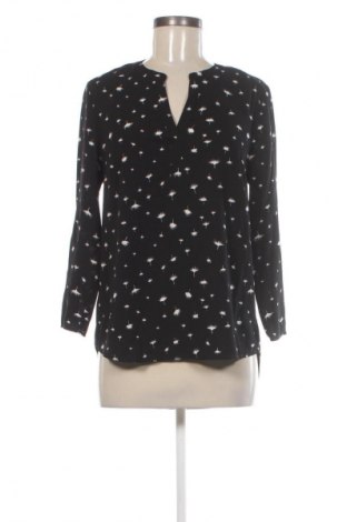 Γυναικεία μπλούζα Daniel Rainn, Μέγεθος S, Χρώμα Μαύρο, Τιμή 37,99 €