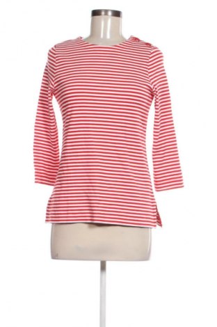 Dámska blúza Editor's Cut, Veľkosť S, Farba Viacfarebná, Cena  18,95 €