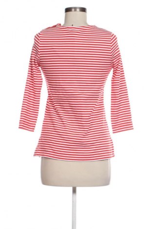 Dámska blúza Editor's Cut, Veľkosť S, Farba Viacfarebná, Cena  18,95 €