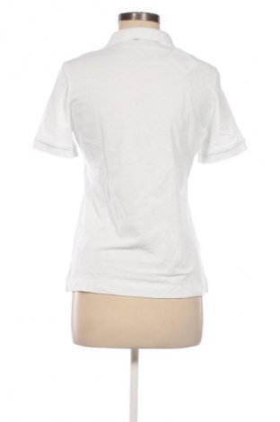 Damen Shirt Gant, Größe S, Farbe Weiß, Preis 35,00 €