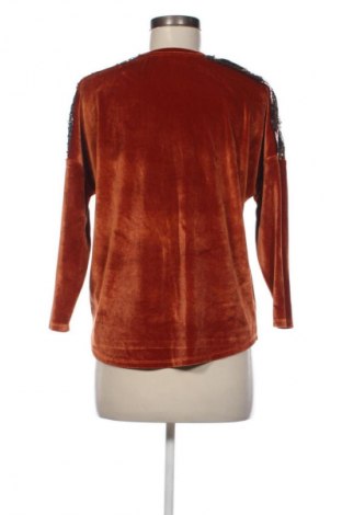 Damen Shirt Koton, Größe M, Farbe Mehrfarbig, Preis € 20,91