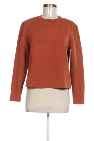 Damen Shirt Mango, Größe M, Farbe Braun, Preis 6,99 €