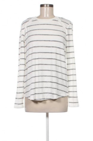 Damen Shirt Market&Spruce, Größe L, Farbe Mehrfarbig, Preis 20,99 €