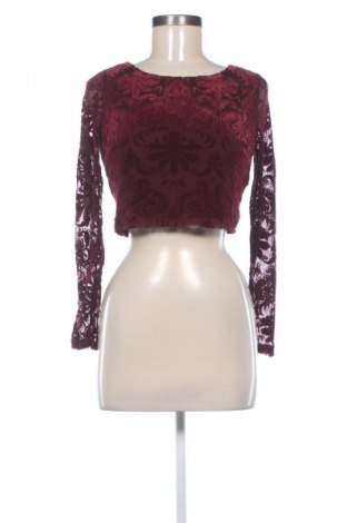 Damen Shirt New Look, Größe S, Farbe Rot, Preis € 5,99