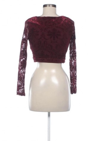 Damen Shirt New Look, Größe S, Farbe Rot, Preis € 5,99