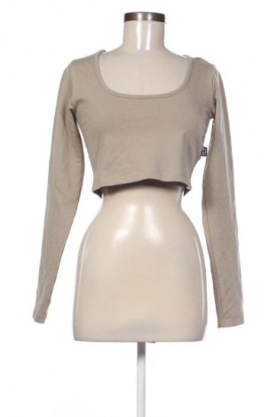 Damen Shirt Pretty Little Thing, Größe M, Farbe Beige, Preis 9,70 €