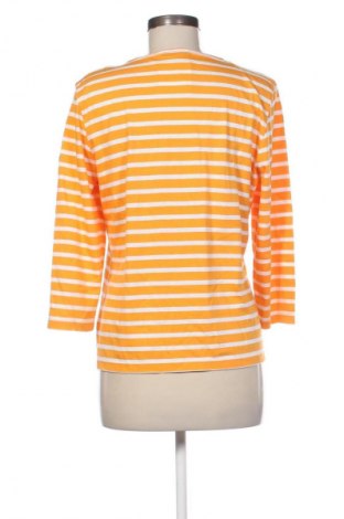 Damen Shirt Saint James, Größe L, Farbe Mehrfarbig, Preis € 19,99