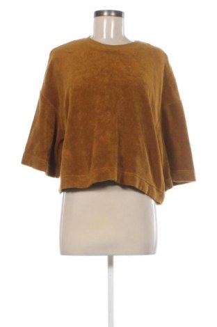 Dámska blúza Sissy Boy, Veľkosť M, Farba Béžová, Cena  18,46 €