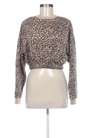 Damen Shirt Terranova, Größe M, Farbe Mehrfarbig, Preis € 5,99