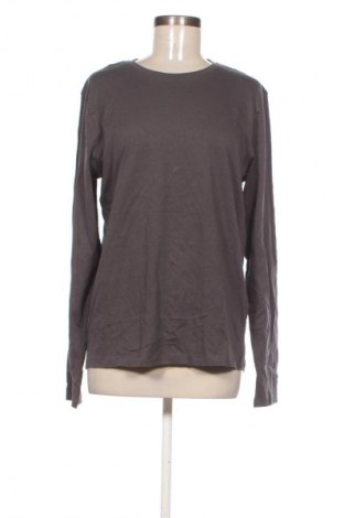 Γυναικεία μπλούζα Terranova, Μέγεθος M, Χρώμα Γκρί, Τιμή 3,99 €