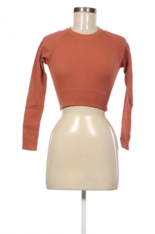 Dámská halenka Unbranded, Velikost XS, Barva Hnědá, Cena  169,00 Kč