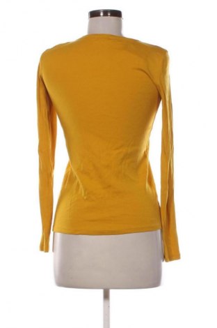 Damen Shirt United Colors Of Benetton, Größe S, Farbe Orange, Preis 17,00 €