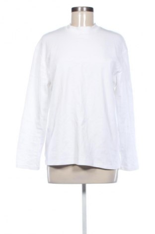 Damen Shirt Zara, Größe S, Farbe Weiß, Preis 14,00 €