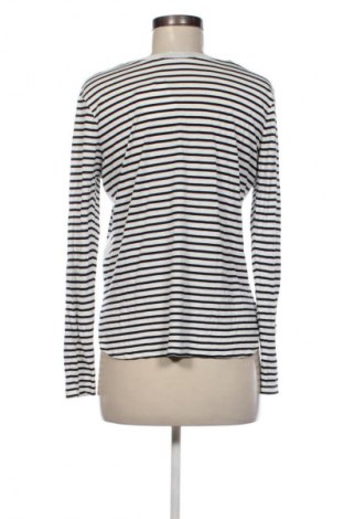 Damen Shirt Zara, Größe L, Farbe Mehrfarbig, Preis 14,00 €