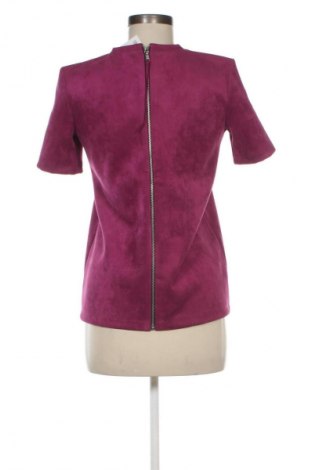 Damen Shirt Zara, Größe S, Farbe Lila, Preis 9,99 €