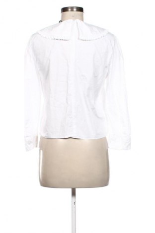 Damen Shirt Zara, Größe M, Farbe Weiß, Preis 13,81 €