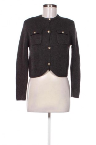 Damen Strickjacke Massimo Dutti, Größe XS, Farbe Grau, Preis € 31,65