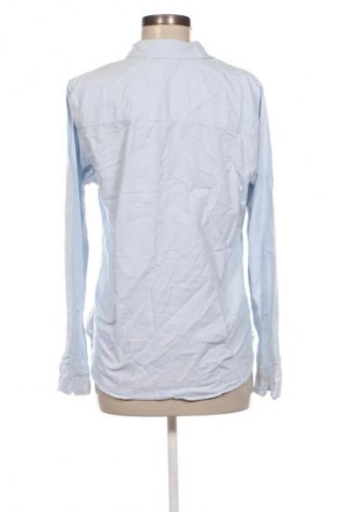 Damenbluse Abercrombie & Fitch, Größe L, Farbe Blau, Preis € 21,00