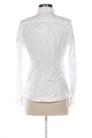 Damska koszula Brook Taverner, Rozmiar M, Kolor Biały, Cena 26,99 zł