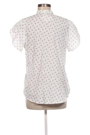 Dámska košeľa  Country Line, Veľkosť L, Farba Viacfarebná, Cena  17,00 €