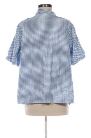 Damenbluse Maria Bellesi, Größe XL, Farbe Mehrfarbig, Preis 13,00 €