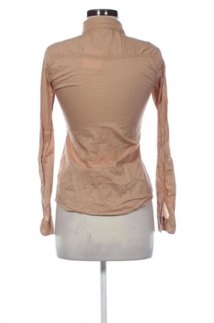 Γυναικείο πουκάμισο Tally Weijl, Μέγεθος S, Χρώμα  Μπέζ, Τιμή 13,00 €