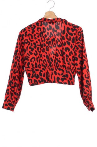 Damenbluse Terranova, Größe XS, Farbe Mehrfarbig, Preis € 3,99