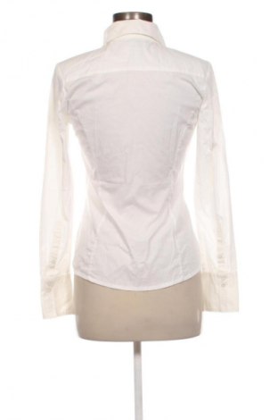 Damenbluse Tom Tailor, Größe S, Farbe Weiß, Preis 24,55 €