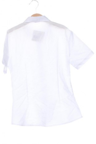 Damenbluse Unbranded, Größe XS, Farbe Weiß, Preis 12,85 €