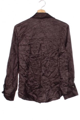 Damenbluse Zara, Größe XS, Farbe Braun, Preis € 10,99