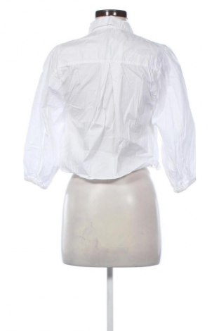 Dámska košeľa  Zara, Veľkosť S, Farba Biela, Cena  14,00 €