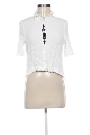 Damenbluse Zara, Größe S, Farbe Weiß, Preis 13,99 €