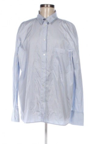 Damenbluse Zara, Größe XL, Farbe Mehrfarbig, Preis € 14,00