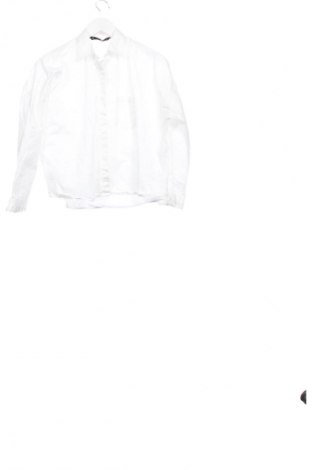 Damenbluse Zara, Größe XS, Farbe Weiß, Preis € 13,81