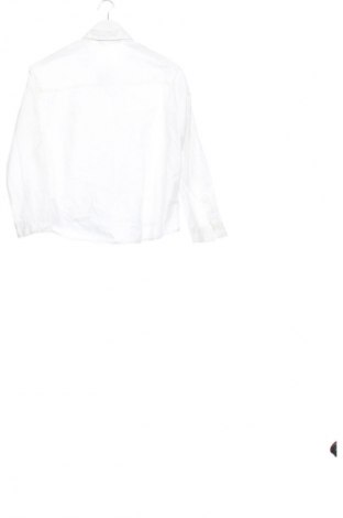 Damenbluse Zara, Größe XS, Farbe Weiß, Preis € 13,81