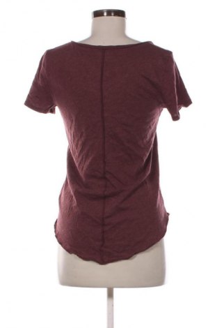 Damen T-Shirt Hollister, Größe S, Farbe Rot, Preis 9,99 €