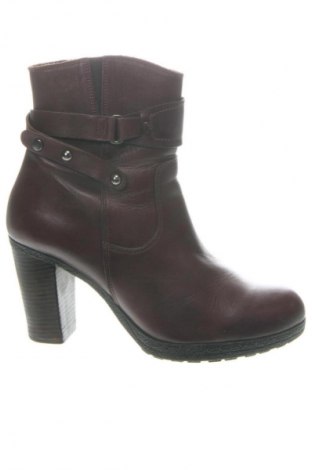 Damen Stiefeletten GiAnni, Größe 40, Farbe Braun, Preis 88,00 €