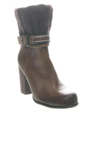 Damen Stiefeletten Hilfiger Denim, Größe 37, Farbe Braun, Preis 73,99 €